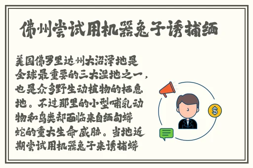 房奴试爱的所有视频